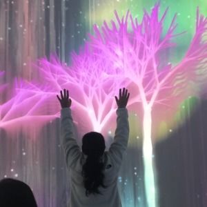 Meet your Posher, Remay